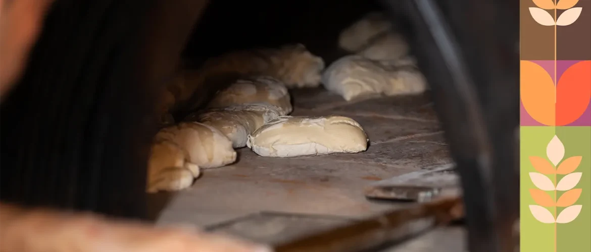 blog horneasv Masa Madre: El Encanto de Nuestra Panadería Pan Dulce